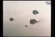 Picture of Cone Islands,
                Aerial Photo, Cone Islands Washington.